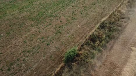 a cinematic 4k drone shot of a combine harvester harvesting a corn field in france, showcasing agriculture with an epic view and dramatic dust