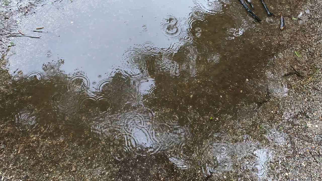 Rain Falling on Puddle