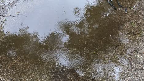 rain falling on puddle