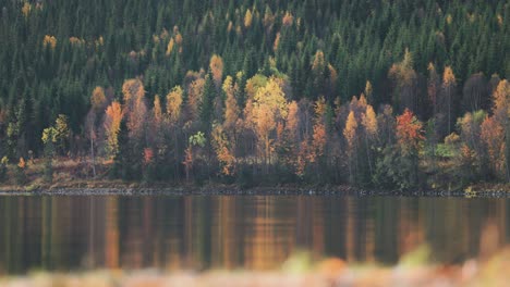 Colorful-autumn-forest-reflected-with-perfect-clarity-on-the-mirror-like-surface-of-the-tranquil-lake