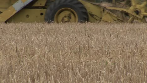 stock footage agriculture