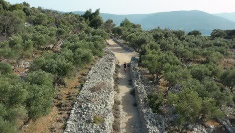 aéreo: hombre corriendo con perro en el sendero de la montaña, vista de seguimiento de drones de 4k