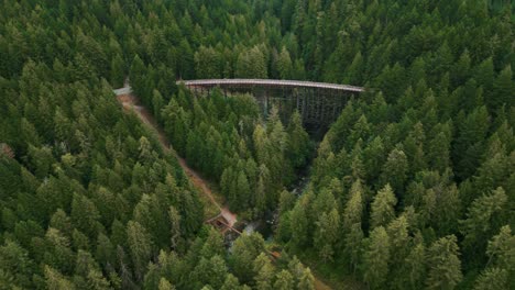 aerial shot over koksilah river revealing the kinsol trestle bridge and the landscape on a cloudy day near victoria on vancouver island, british columbia, canada