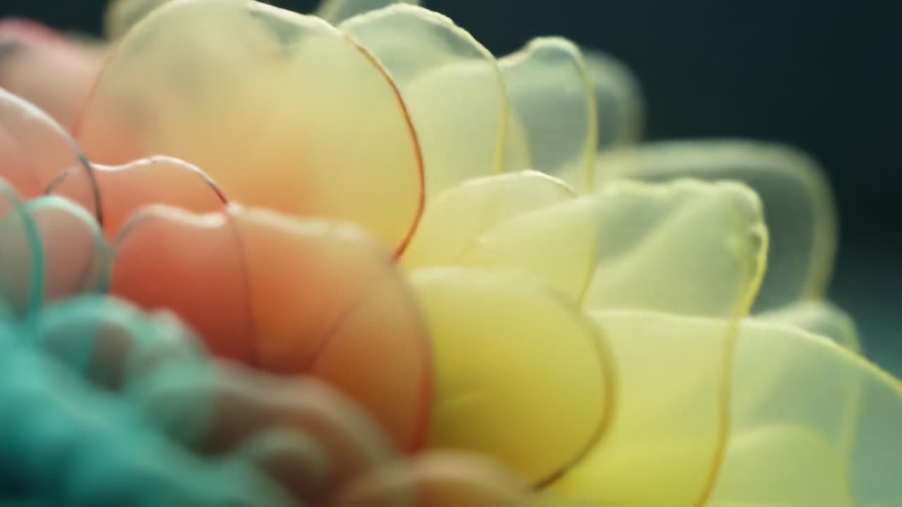 Abstract Rainbow Floral Pattern