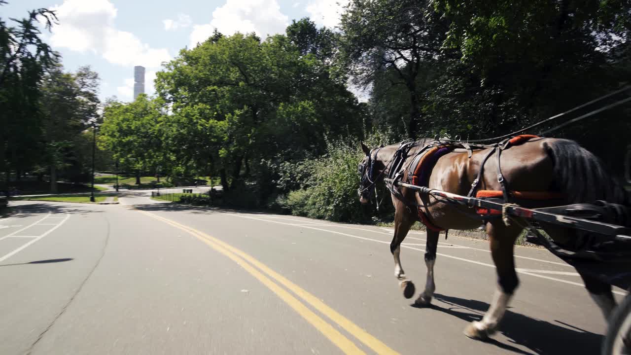 Andare a cavallo nel cuore di Central Park, New York.