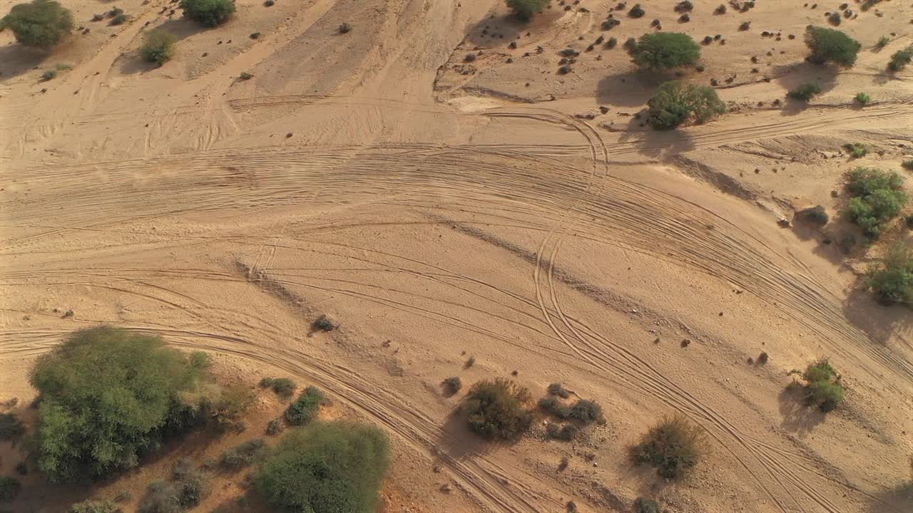 Top down aerial drone view of vehicle tire tracks crossing the sandy, arid desert with sparse vegetation near Laayoune, Morocco
