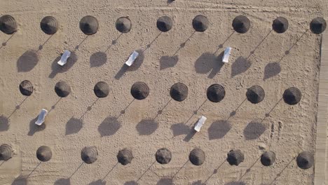 aerial top view of beach umbrellas and sunbeds