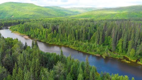 4k drone video of beautiful bend in the chena river as it runs through pine tree covered mountains near chena hot springs, alaska in summertime