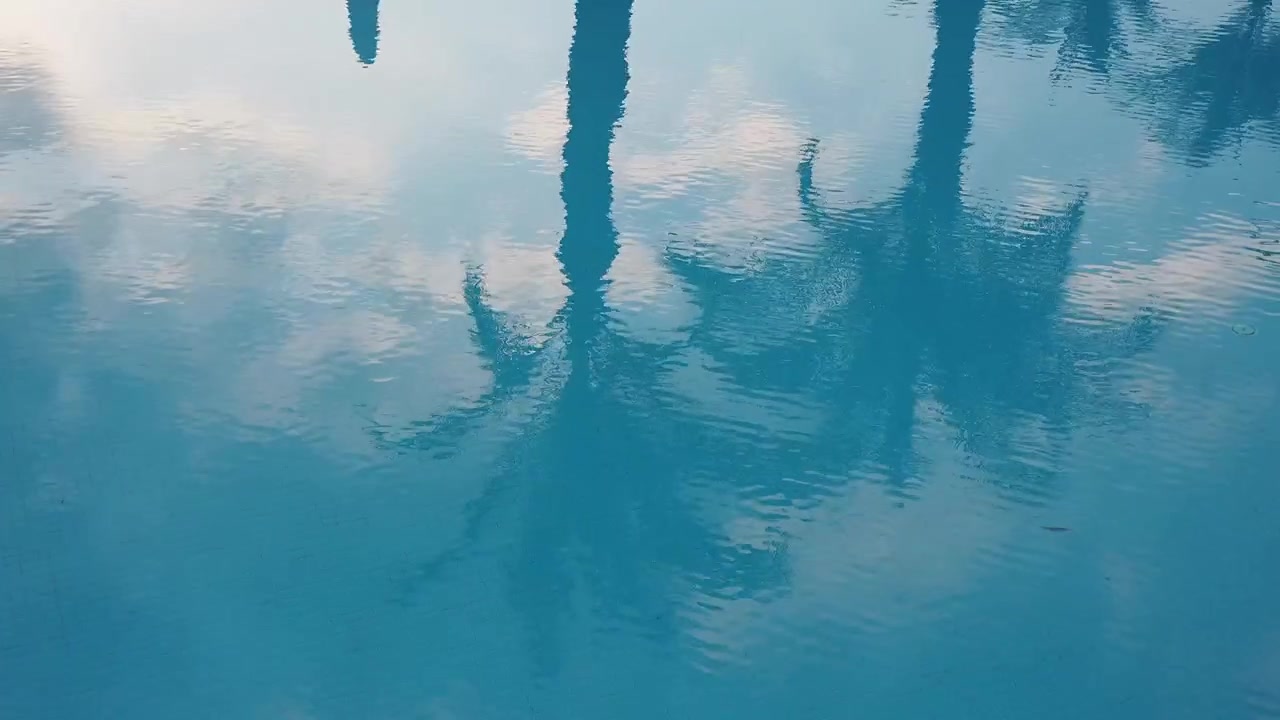 Reflecties van palmbomen en lucht op rimpelend blauw zwembadwater