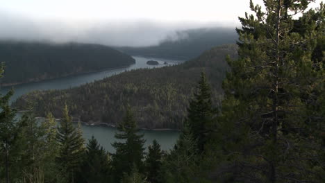 nice over view of the columbia river with pine trees foreground