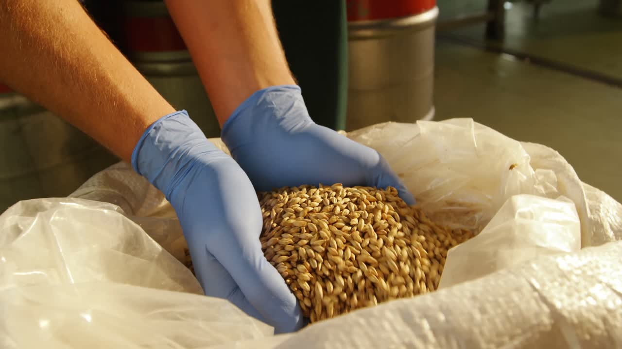 Brewer holding grains 4k