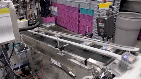 a blueberry processing and packaging plant