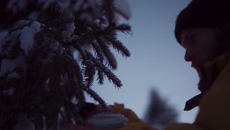 norwegian guy is cutting fir tree needles during sunset