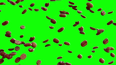 video of falling coffee beans with green screen background