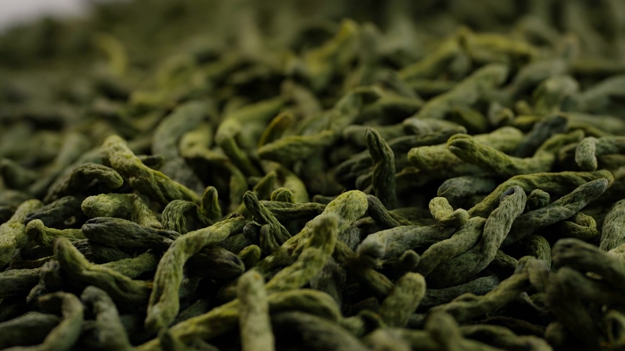 Close view shows olive and moss green seaweed filaments swaying across submerged seafloor, creating dense textured carpet with tangled strands, soft depth, moody ocean light, with seaweed, kelp