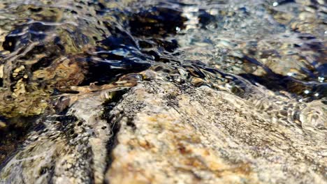 clean transparent freshwater splashing up against a rock in summer sunlight - closeup detailed static macro