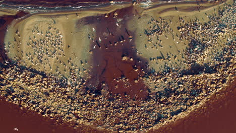 Drohnenansicht-Salzinsel-In-Rosa-Wasseroberfläche.-Draufsicht-Auf-Die-Vögel-Der-Salzküste