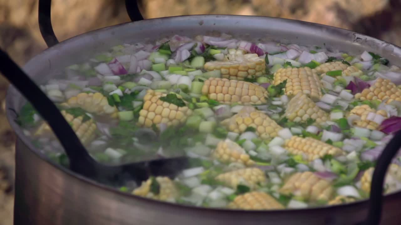una olla grande de verduras y carne hirviendo sobre un fuego abierto