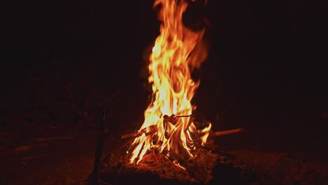 blazing bonfire on outdoor isolated against dark background