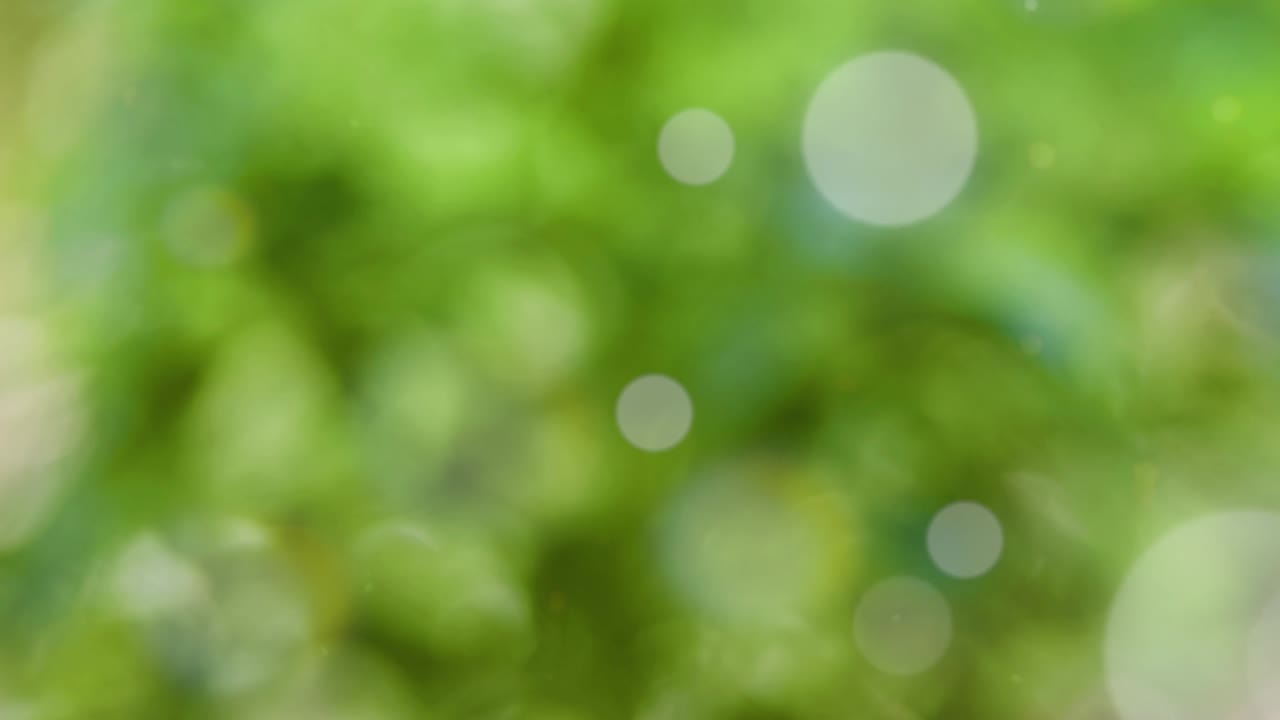 fondo de verano abstracto con bokeh