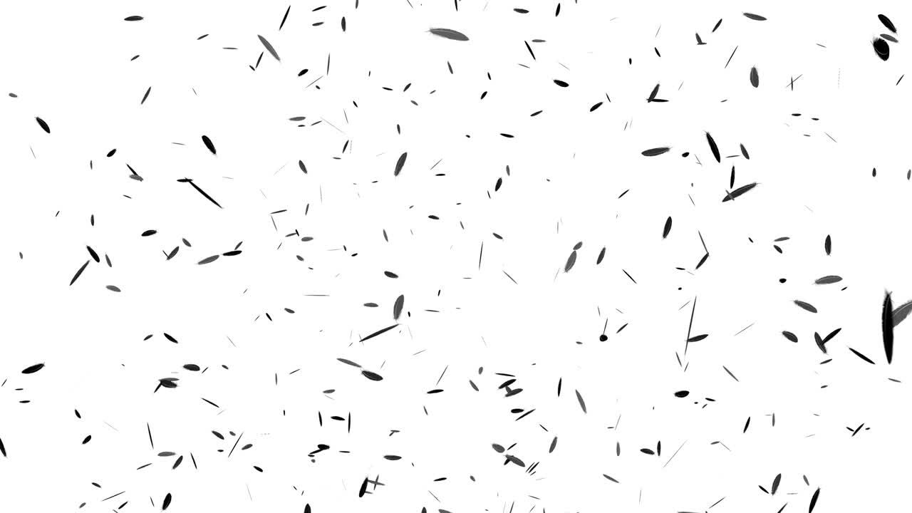 Black feather soaring particle motion graphics