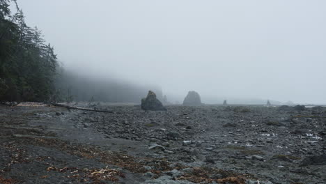 Person-walking-on-beautiful-Olympic-Coast-of-Washington-during-low-tide