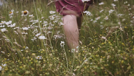 Mujer-Vestida-De-Satén-Camina-Descalza-Por-El-Campo-De-Flores,-ángulo-Bajo