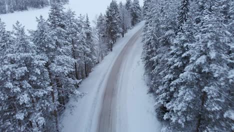 Nördliche-Schneebedeckte-Bergstraße-Durch-Alpinen-Wald---Luftüberführung