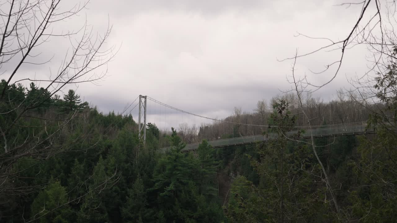 puente peatonal suspendido rodeado por un denso follaje forestal en el desfiladero de coaticook, coaticook, quebec, tiro estático