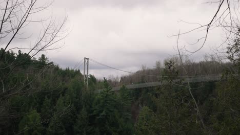 suspended footbridge surrounded by dense forest foliage in coaticook gorge, coaticook, quebec, static shot