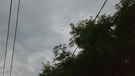 이웃 pov 캘거리 캐나다 앨버타에서 낮게 떠오르는 헬리콥터