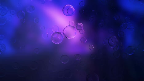abstract bubbles background loop