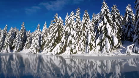 winter forest landscape with frozen lake