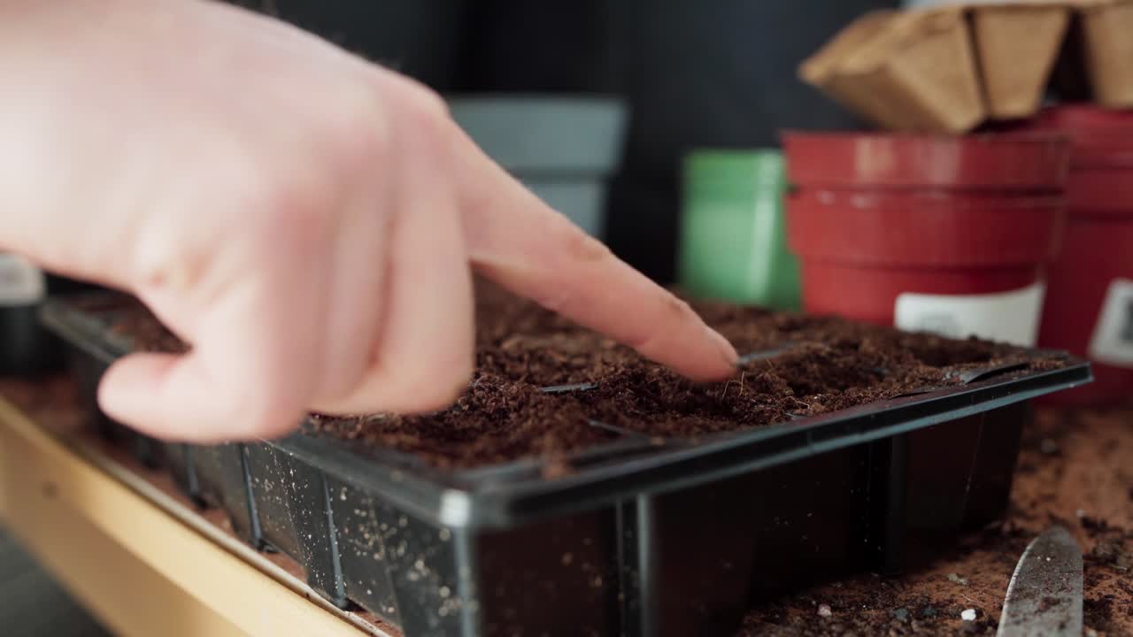 arcilla de suelo arcilloso en una olla de semillas cuadrada desechable para jardinería interior