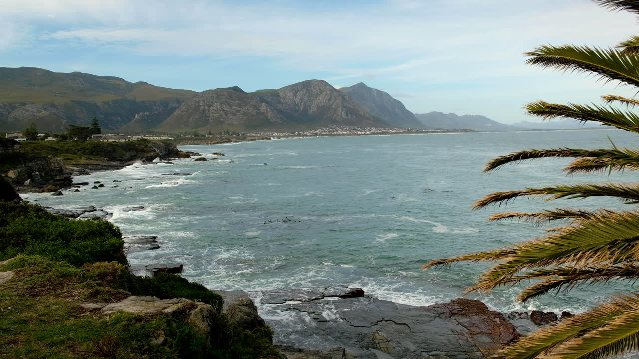 Avvistamento di balene vicino alla costa rocciosa di Hermanus: la madre espelle aria e il balenottero emerge