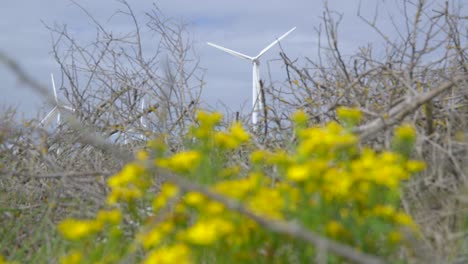 Windturbinen,-Die-Sich-Mit-Fokus-Drehen,-Ziehen-An-Bewölkten-Sommertagen-Gelbe-Unkräuter-In-Den-Vordergrund