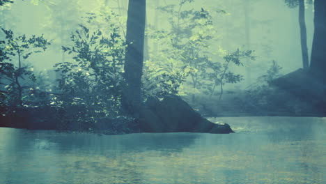 un amanecer brumoso sobre el bosque del lago