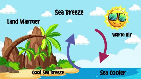 illustrating diurnal sea and land breeze cycles