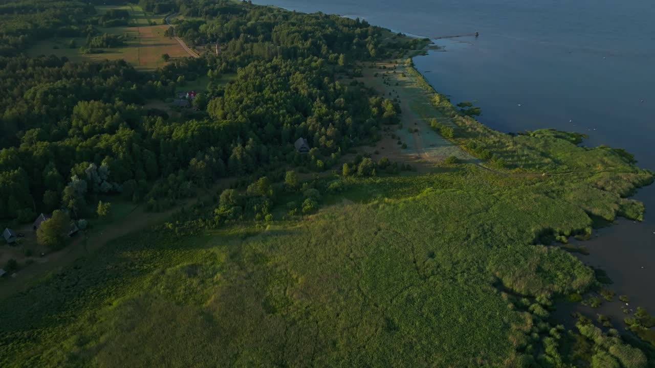 Forested marshy coastline at goldehour, Saaremaa Estonia