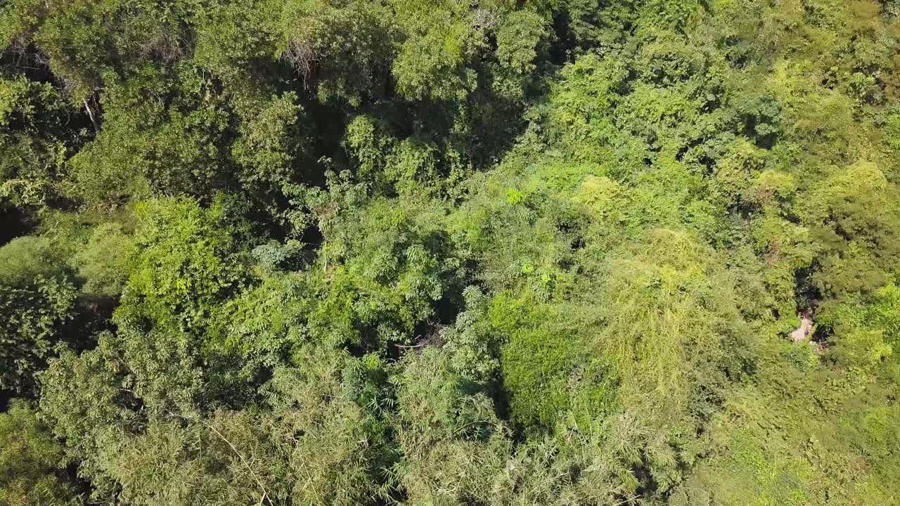 imágenes de drones de los famosos túneles de cu chi