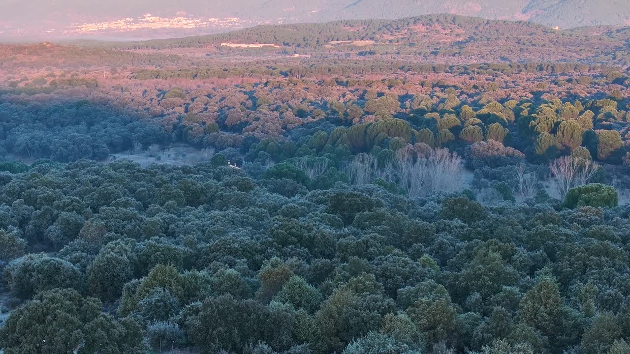drone flight in the Tietar valley at dawn where we see in the shaded part a forest with frozen canopies and in the sunny part the town of Piedralaves and its impressive mountains appear