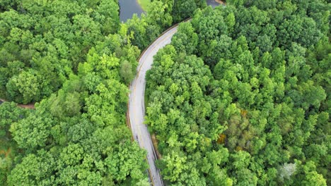 flying over empty, windy road surrounding by lush trees