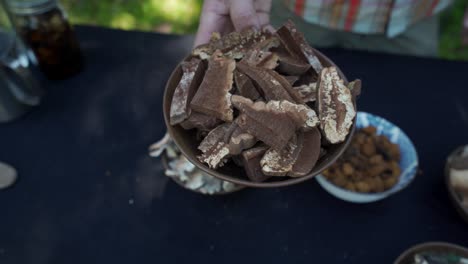 Chunks-of-Artist-Conch-mushrooms,-dried-and-ready-for-tincture-making