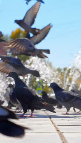 flock of birds flying near a fountain with splashing water and vibrant greenery in the background