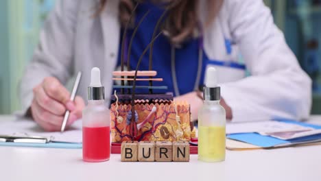 dermatologist examining skin anatomy model with burn treatment concept
