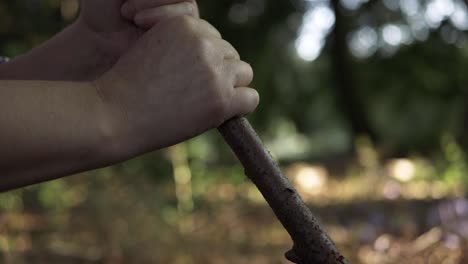 mano sosteniendo un palo de madera tiro medio