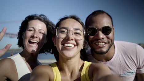 amigos felices durante la llamada de video