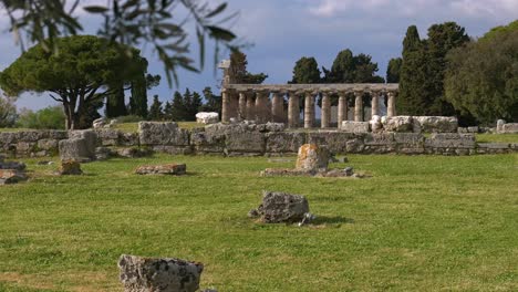 rack focus shot first focused on some olive tree branches and then focused on the greek temple of athena in the background