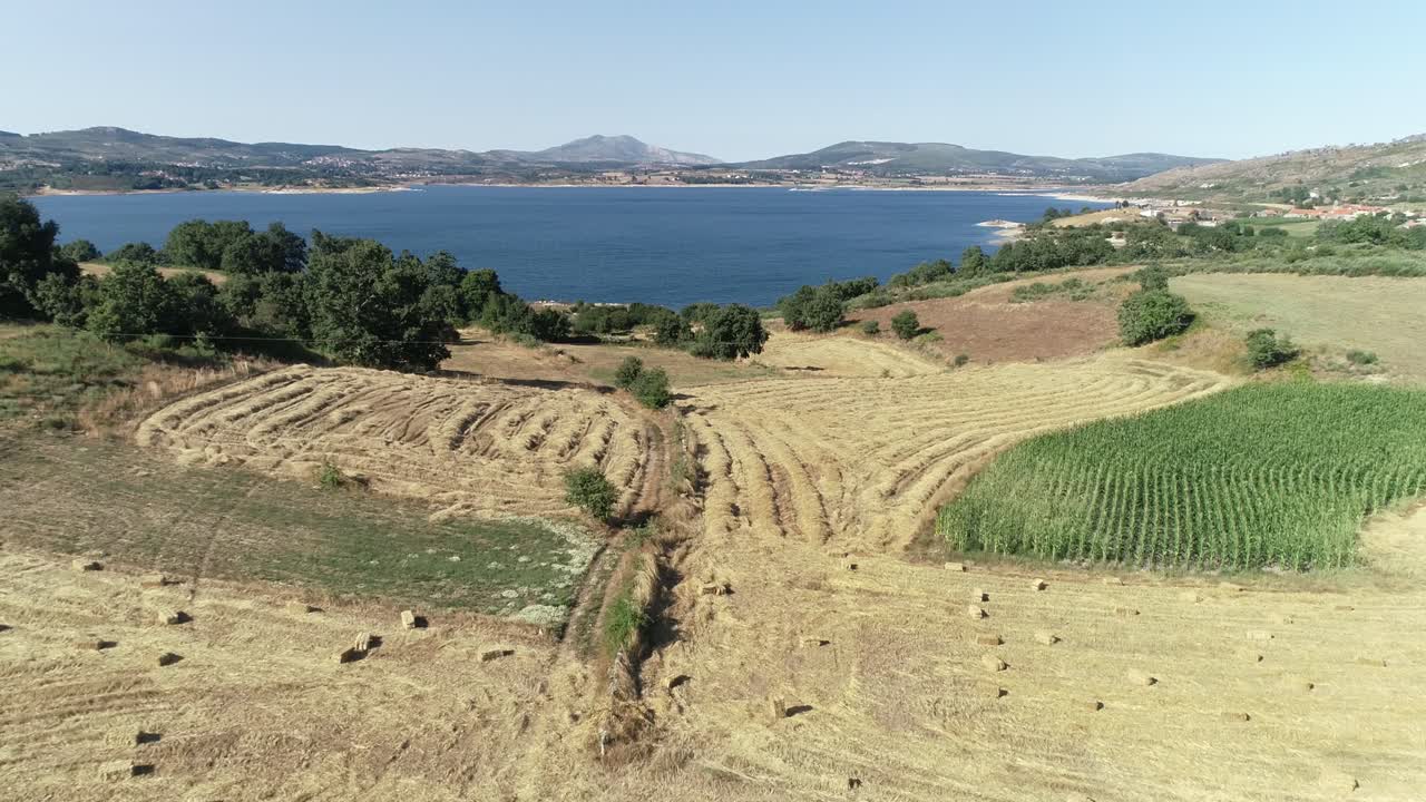 desarrollo de la industria agrícola vista aérea