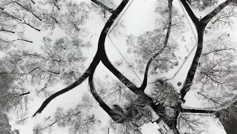 an aerial view of a snow covered park on long island on a cloudy winter day